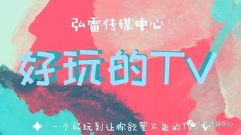 搞笑栏目名称,笑破肚皮！揭秘热门搞笑栏目背后的欢乐秘密