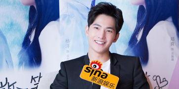 杨洋新浪娱乐访谈,揭秘明星背后的成长与梦想