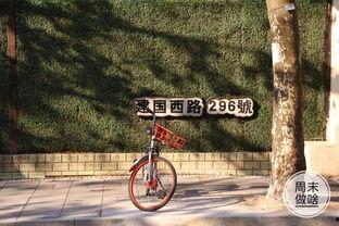 韩国网红2km,揭秘网络红人的魅力与影响力