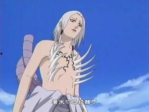 火影忍者君麻吕图片,忍者世界的悲情剑客