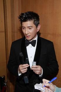 太阳娱乐文化吴奇隆,太阳娱乐文化下的璀璨星辉