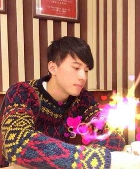 沈晨资料,探寻人生轨迹，成就非凡事业