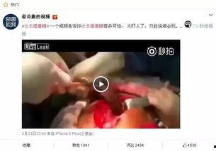 女主播玩黄鳝致死,黄鳝致命事件引发社会关注