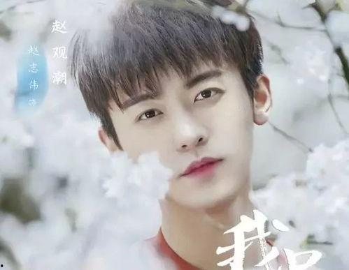 杨子全个人资料,从平凡走向卓越的励志人生